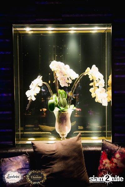 Queen B Girls Night Out ที่ เวอร์ทิโก้ ทู — photo 37