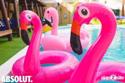 Absolut X Pool Party ที่ บลู แพร็อต — photo 3