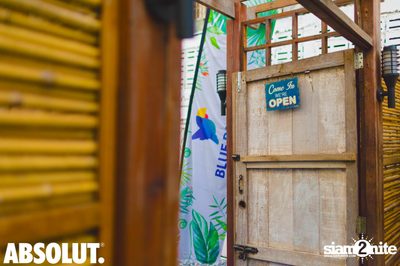 Absolut X Pool Party ที่ บลู แพร็อต — photo 12
