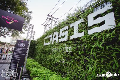 808 Festival 2017 (Album 3, Day 1) — photo 10