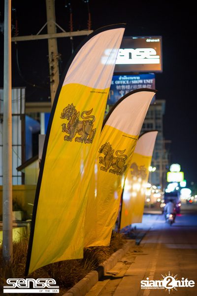 Singha presents Pop Pongkool at Sense of the Sea Pattaya — photo 3