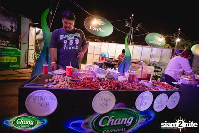 Chang Carnival: World of Ilusion | เชียงใหม่ — photo 94