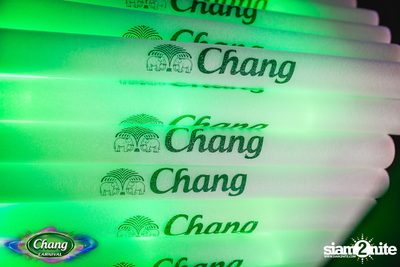 Chang Carnival: World of Illusion | เชียงใหม่ — photo 52
