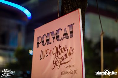 Polycat at Wine Republic — photo 13