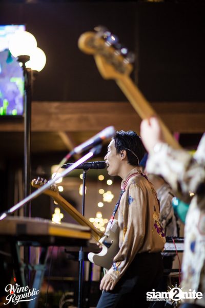 Polycat at Wine Republic — photo 43