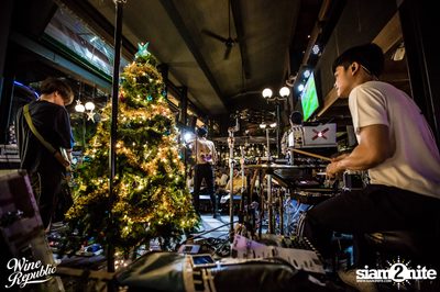 Polycat at Wine Republic — photo 57