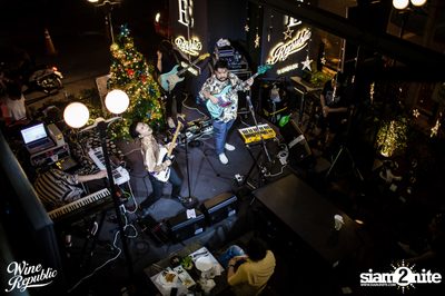 Polycat at Wine Republic — photo 82