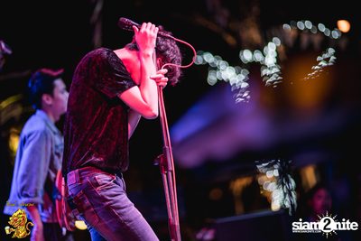 The TOYS Live at Singha Pala — photo 67