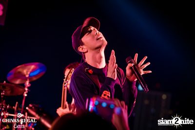 Potato at K-PUB | YG Republique Bangkok — photo 98