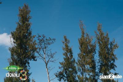 Chang Music Connection นำเสนอ Nanglen Festival 3 (อัลบั้มที่ 1) — photo 13