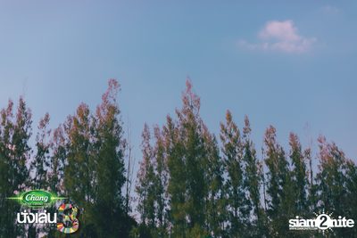 Chang Music Connection นำเสนอ Nanglen Festival 3 (อัลบั้มที่ 2) — photo 3