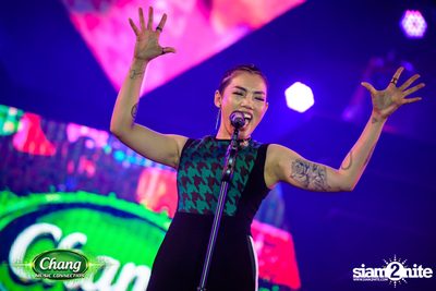 Chang Music Connection Musictropolis | เชียงใหม่ — photo 177