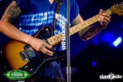 Chang Music Connection Musictropolis | เชียงใหม่ — photo 296