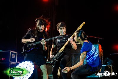 Chang Music Connection Musictropolis | เชียงใหม่ — photo 304