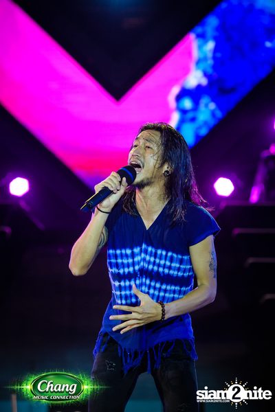 Chang Music Connection Musictropolis | เชียงใหม่ — photo 387