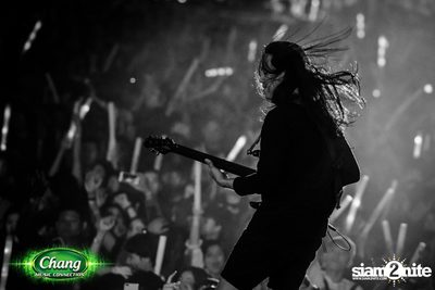 Chang Music Connection Musictropolis | เชียงใหม่ — photo 395