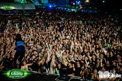 Chang Music Connection Musictropolis | เชียงใหม่ — photo 401