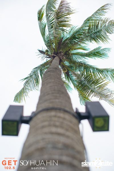 SO Beach Party at SO Sofitel Hua Hin — photo 29