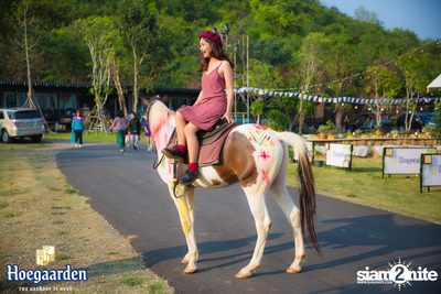Cheeze Carbootsale Festival 2018 (อัลบั้มที่ 2 วันที่ 2) — photo 17