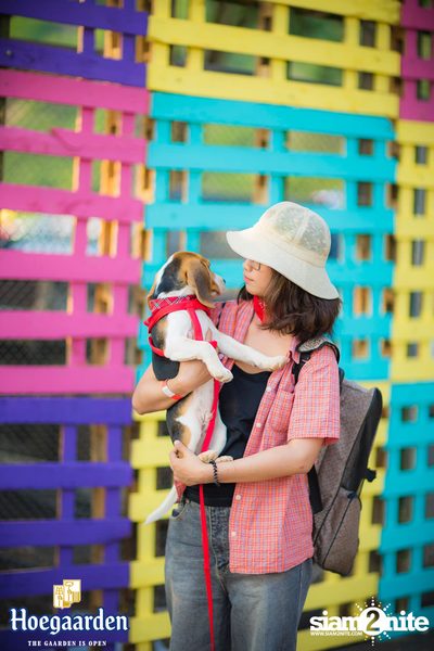 Cheeze Carbootsale Festival 2018 (อัลบั้มที่ 2 วันที่ 2) — photo 25