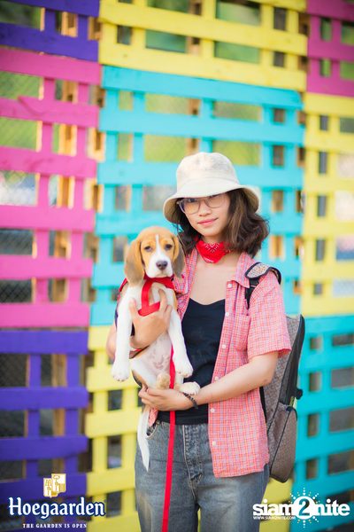 Cheeze Carbootsale Festival 2018 (อัลบั้มที่ 2 วันที่ 2) — photo 27