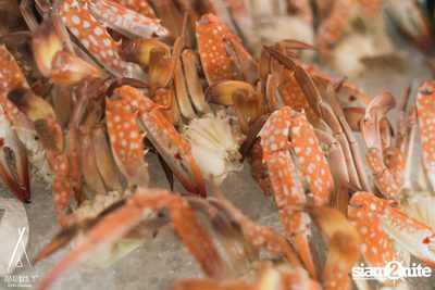 Amazing Sundays Brunch at Nikki Beach Koh Samui — photo 32