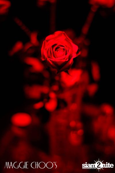 Corset Cabaret: Ladies & Cabaret Night ที่ แม็กกี้ ชูส์ — photo 61