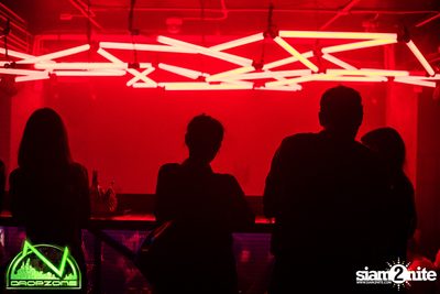 DZ002 | Dropzone Festival Pre-Party at VIOLETT — photo 56