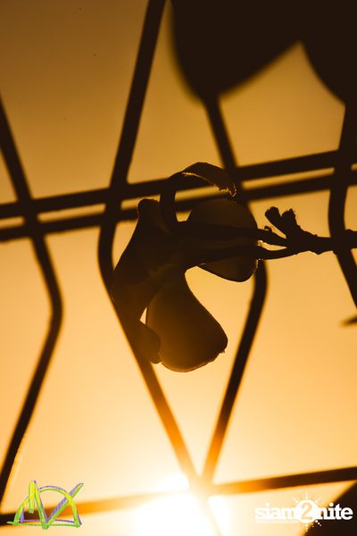 Dropzone Festival Bangkok 2018 (อัลบั้มที่ 2 วันที่ 1) — photo 74