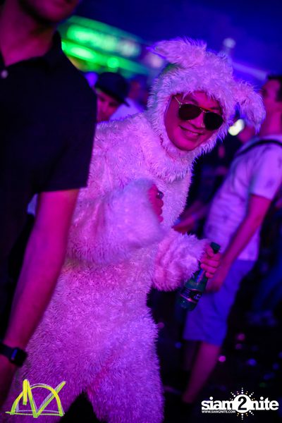 Dropzone Festival Bangkok 2018 (อัลบั้มที่ 1 วันที่ 2) — photo 193