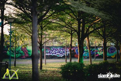Dropzone Festival Bangkok 2018 (อัลบั้มที่ 4 วันที่ 2) — photo 39