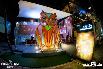 The TOYS at The Living Bistro and Bar — photo 2