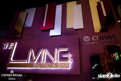 The TOYS at The Living Bistro and Bar — photo 15