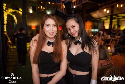 The TOYS at The Living Bistro and Bar — photo 32