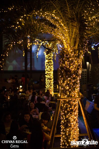 The TOYS at The Living Bistro and Bar — photo 43