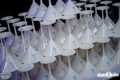 งาน Nikki Beach 9th Anniversary White Party — photo 12