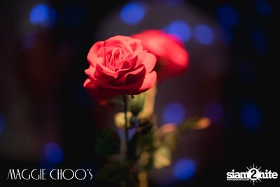 Corset Cabaret: Ladies & Cabaret Night at Maggie Choos — photo 67