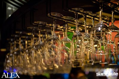 1st Anniversary at Alex Brasserie — photo 145