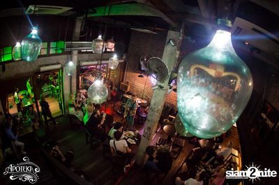 Apoteka นำเสนอ Live and Local — photo 44