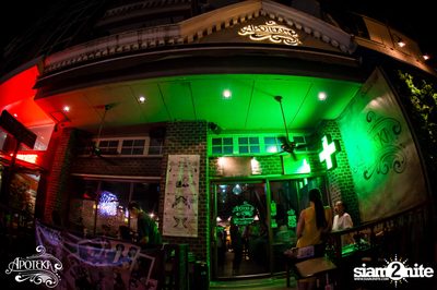 Apoteka นำเสนอ Live and Local — photo 48