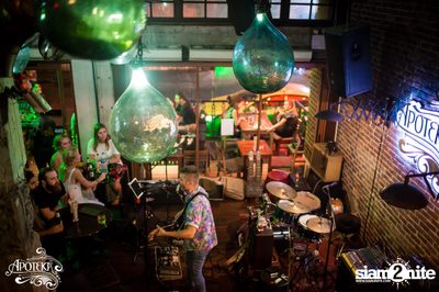 Apoteka นำเสนอ Live and Local — photo 73