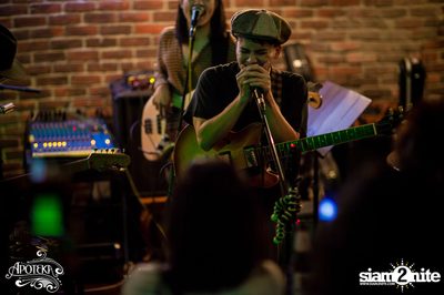 Apoteka นำเสนอ Live and Local — photo 122