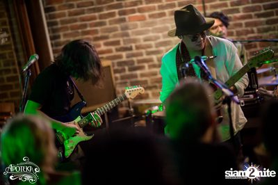Apoteka นำเสนอ Live and Local — photo 126