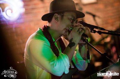 Apoteka นำเสนอ Live and Local — photo 138