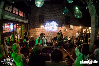 Apoteka นำเสนอ Live and Local — photo 148