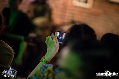 Apoteka นำเสนอ Live and Local — photo 168