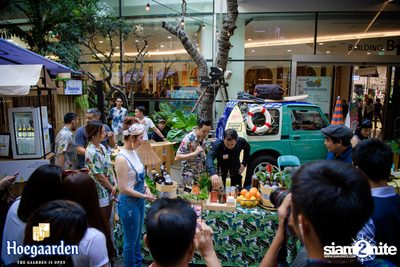 Emquartier Summer Republic: Aloha to the City — photo 11
