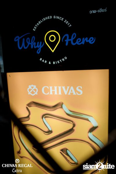 The Toys at Why Here — photo 6