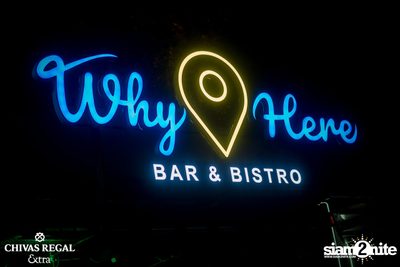 The Toys at Why Here — photo 93