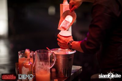 Bacardi House Party w/ Tom Staar at DEMO — photo 11